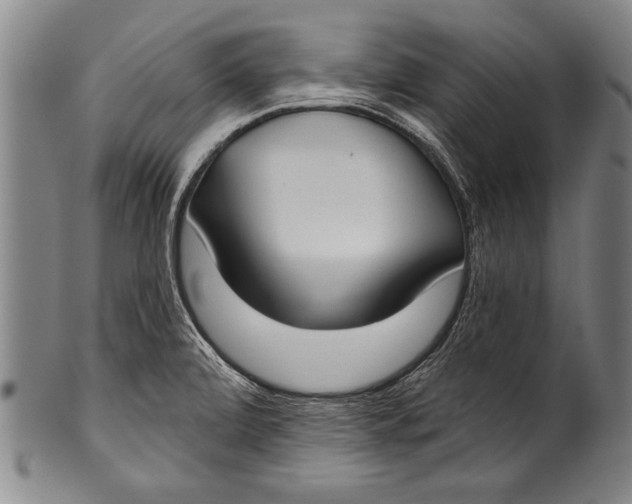 X0000100331472200806261250