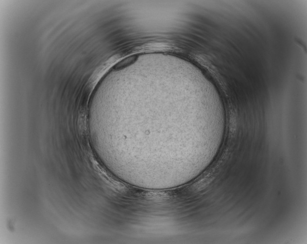 X0000100331473200806261250