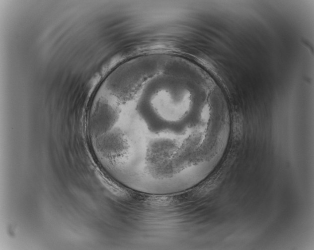 X0000100331474200806261250