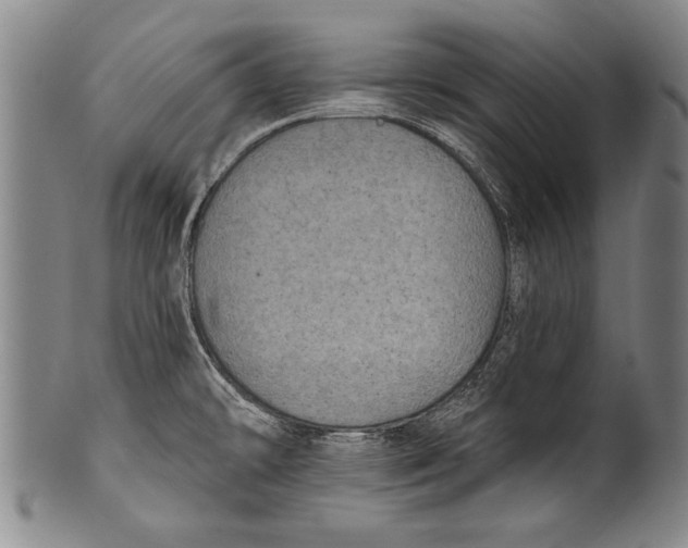 X0000100331478200806261250