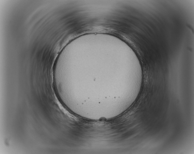 X0000100331479200806261250