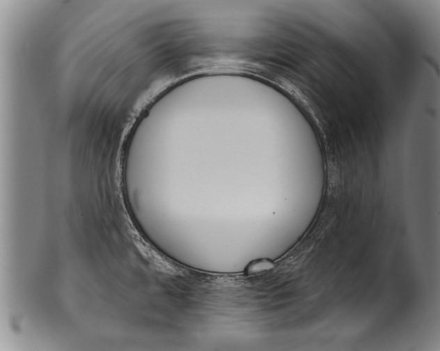 X0000100331480200806261250