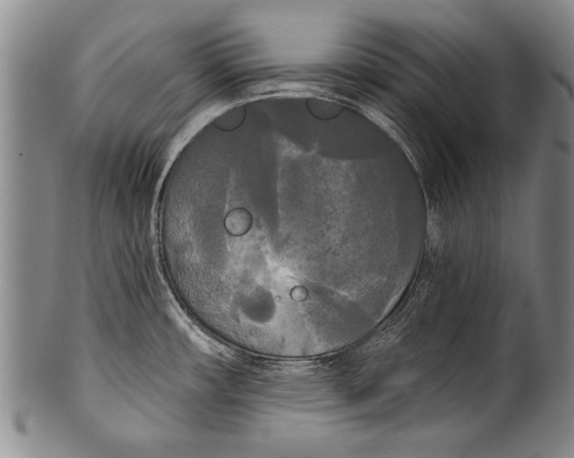 X0000100331482200806261250