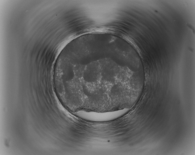 X0000100331483200806261250