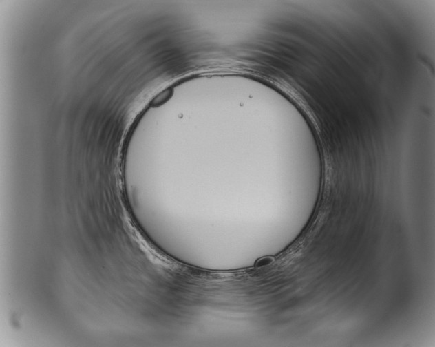 X0000100331485200806261250