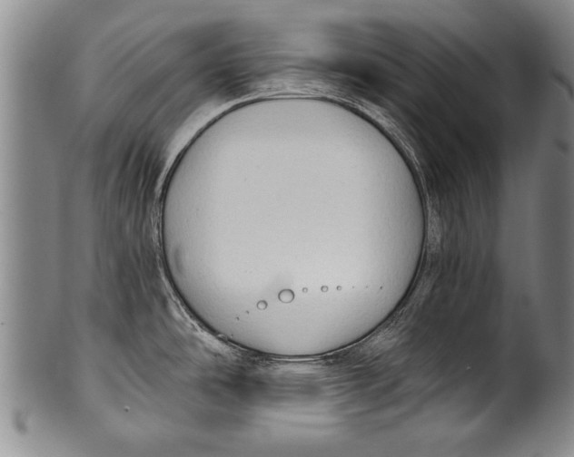 X0000100331486200806261250