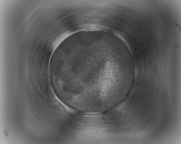 X0000100331487200806261250