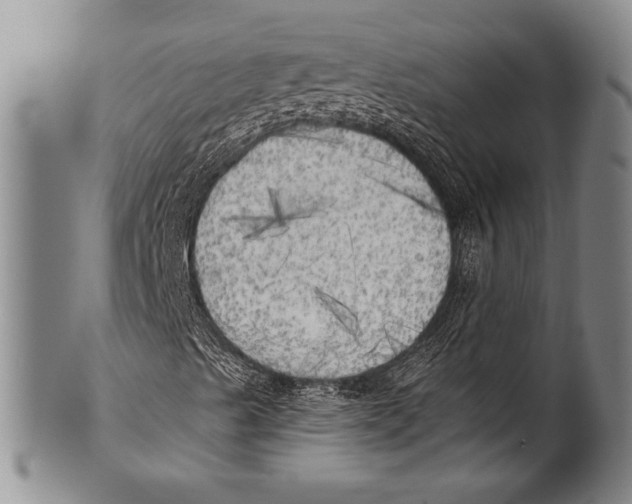 X0000100331489200806261249