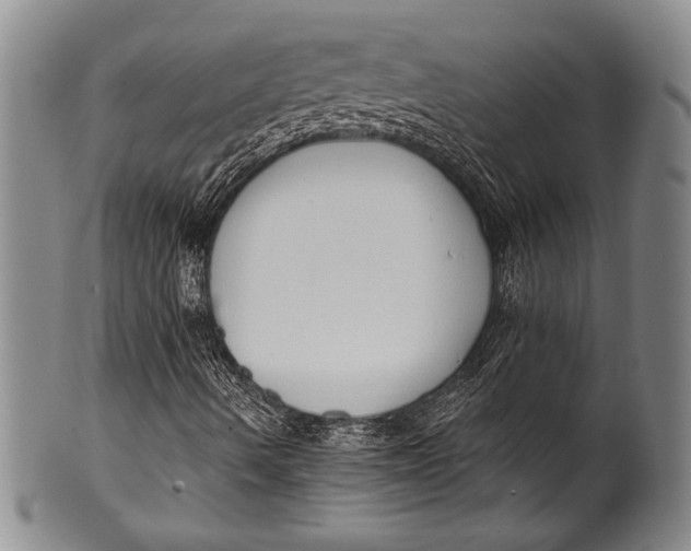 X0000100331490200806261249