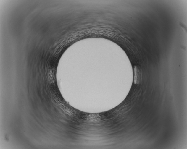 X0000100331491200806261249