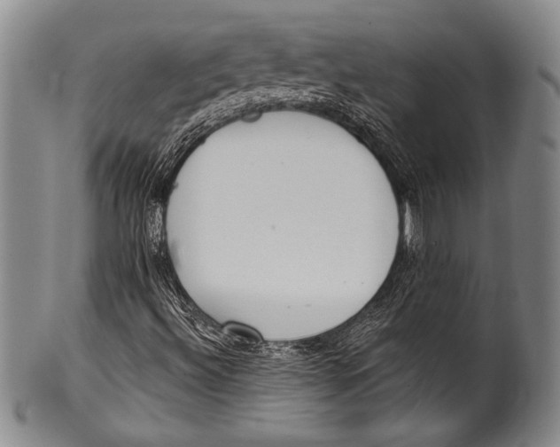 X0000100331492200806261249