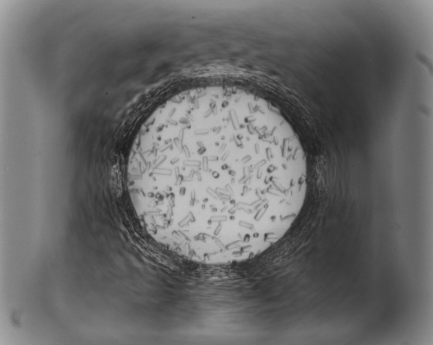 X0000100331493200806261249