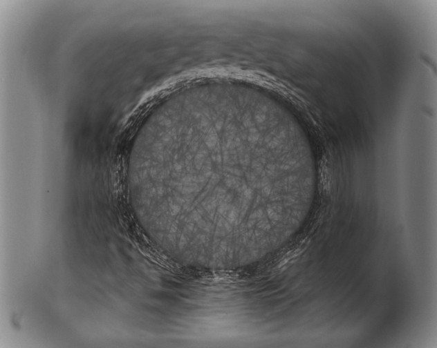 X0000100331494200806261249