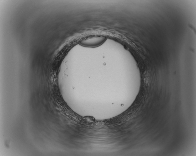 X0000100331495200806261249