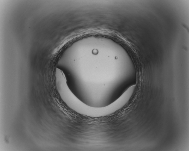 X0000100331496200806261249