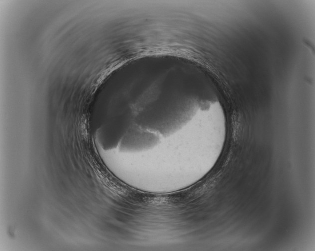 X0000100331497200806261249