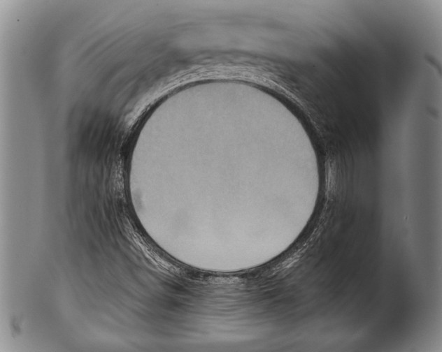 X0000100331498200806261249