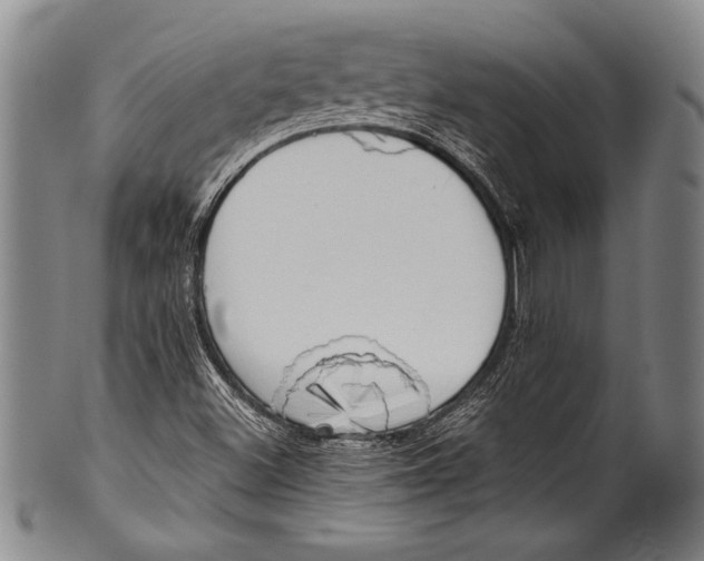 X0000100331500200806261249