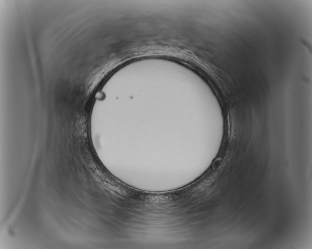 X0000100331501200806261249