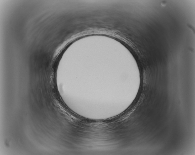 X0000100331502200806261249