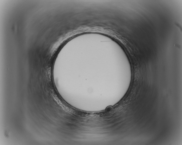 X0000100331503200806261249