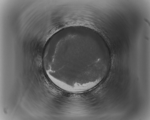 X0000100331505200806261249