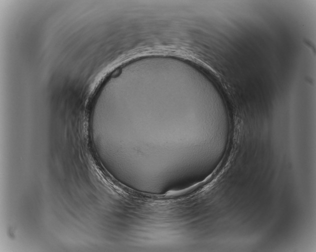 X0000100331506200806261249