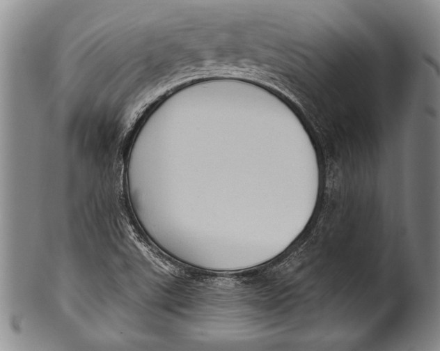 X0000100331507200806261249