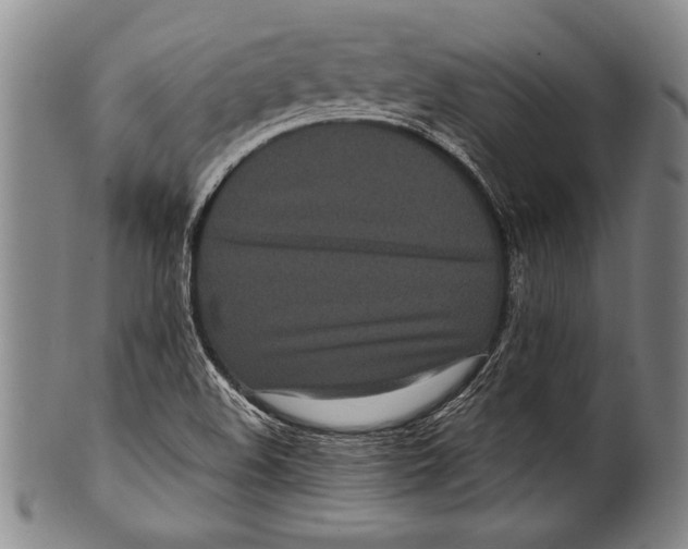 X0000100331508200806261249