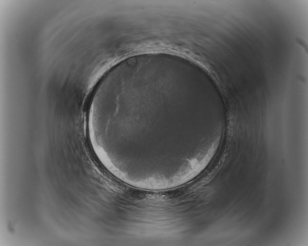 X0000100331509200806261249