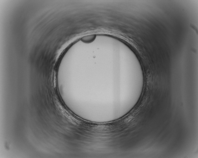 X0000100331510200806261249