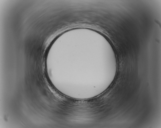 X0000100331511200806261249