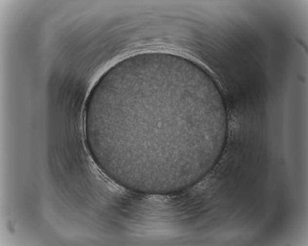 X0000100331514200806261249