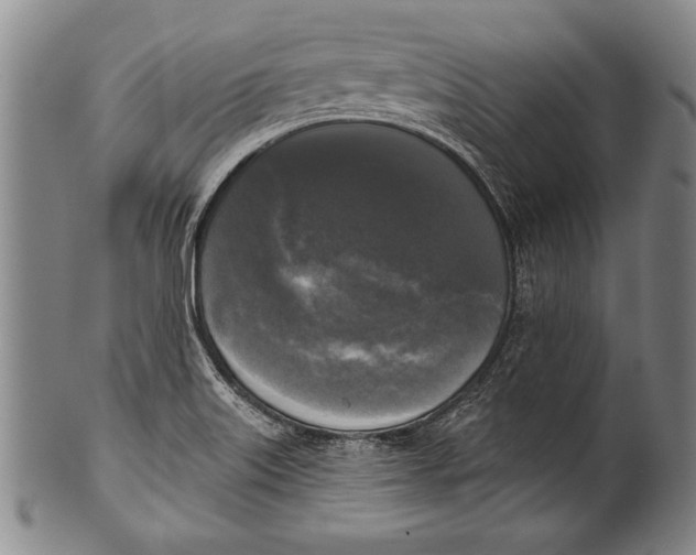 X0000100331515200806261249