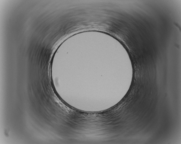 X0000100331516200806261249