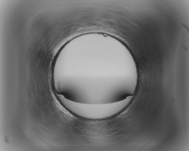 X0000100331518200806261249