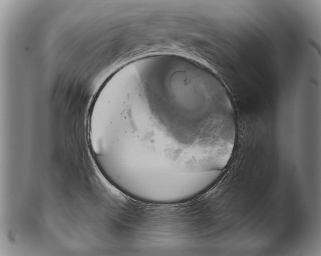 X0000100331519200806261249