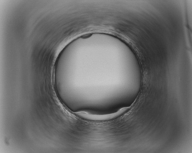 X0000100331520200806261249