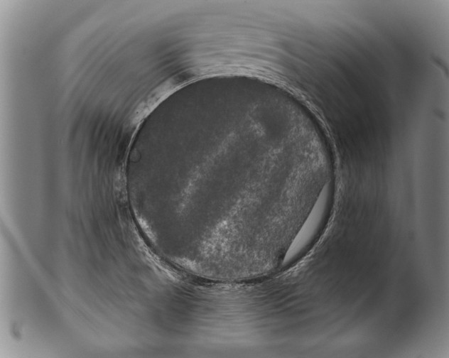 X0000100331521200806261249