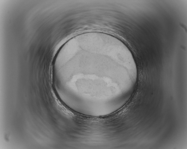 X0000100331522200806261249