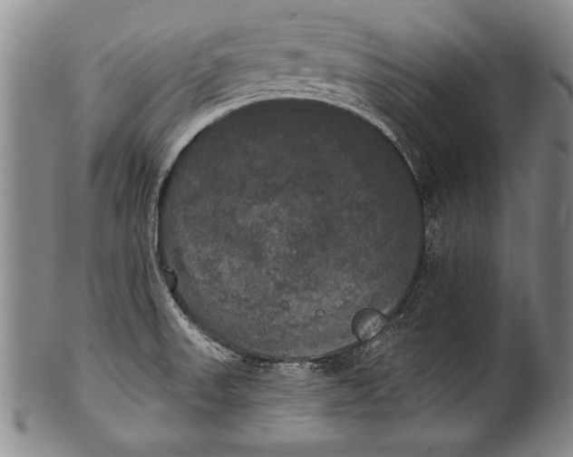 X0000100331523200806261249