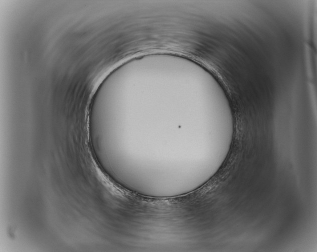 X0000100331524200806261249