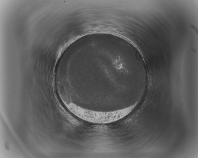 X0000100331525200806261249