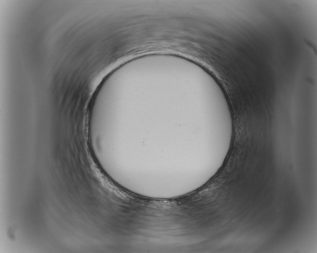 X0000100331526200806261249