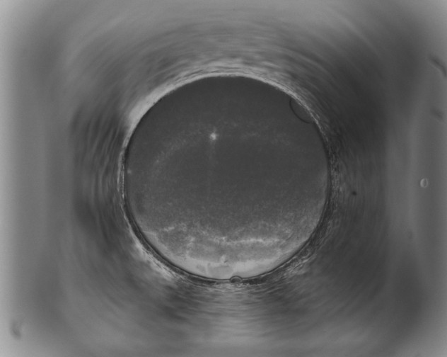 X0000100331527200806261249