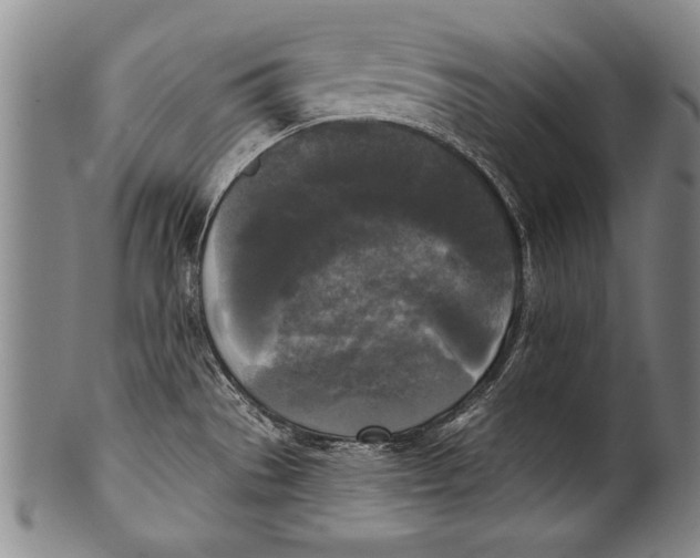 X0000100331529200806261250