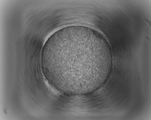 X0000100331530200806261250