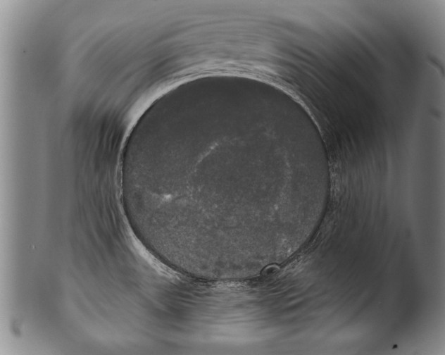 X0000100331531200806261250