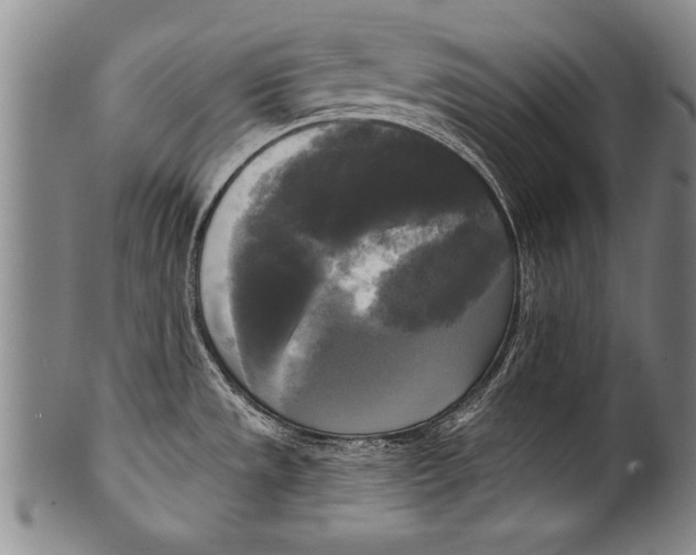 X0000100331533200806261250