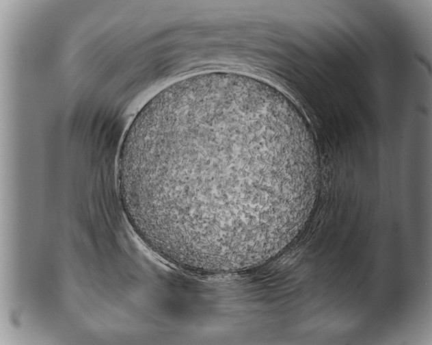 X0000100331535200806261250